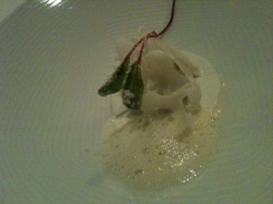 oesters_blomkaal.jpg Østers med blomkål og rygeost