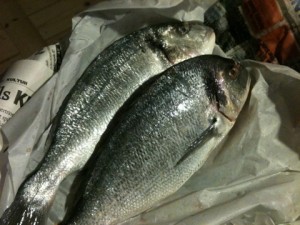 20110309-212003.jpg