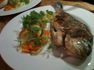 20110309-212044.jpg