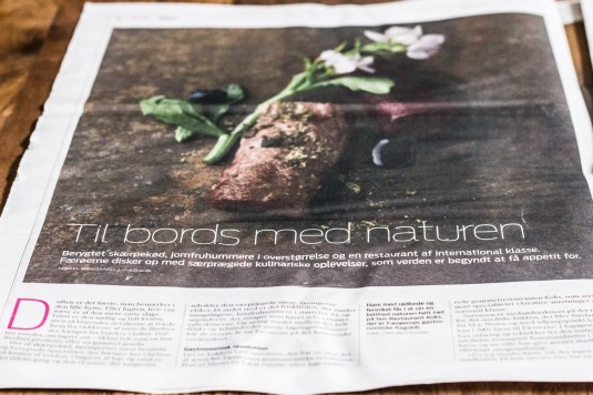 Færøerne artikel i JP - mikkelbaekgaard