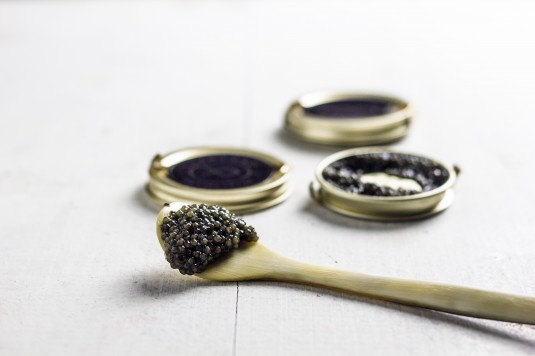 Lyksvad Caviar - foto Mikkel Bækgaard