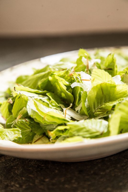 salat med bøgeblade og fennikel